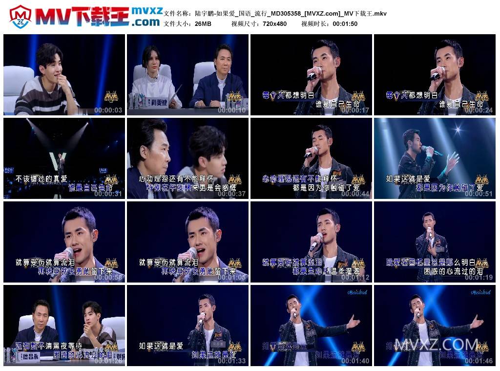 陆宇鹏-如果爱_国语_流行_MD305358